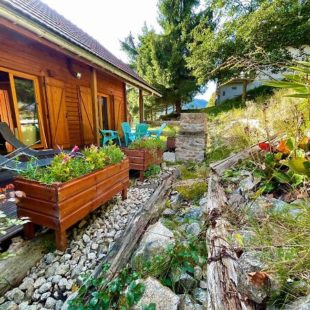 Chalet Des Feignes Ла-Бресс Экстерьер фото