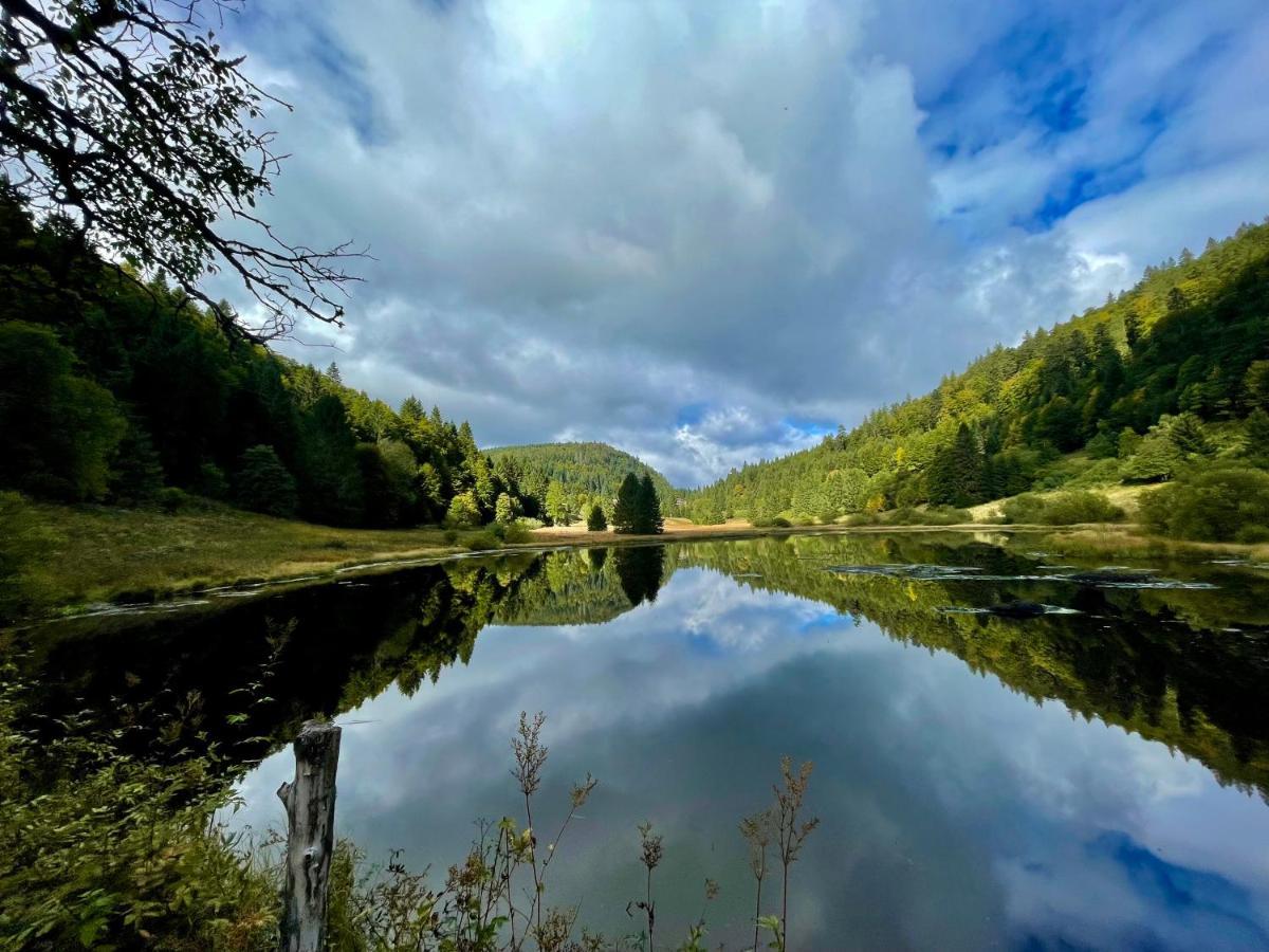 Chalet Des Feignes Ла-Бресс Экстерьер фото