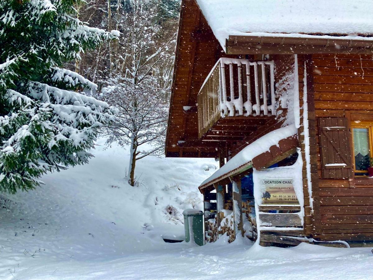 Chalet Des Feignes Ла-Бресс Экстерьер фото